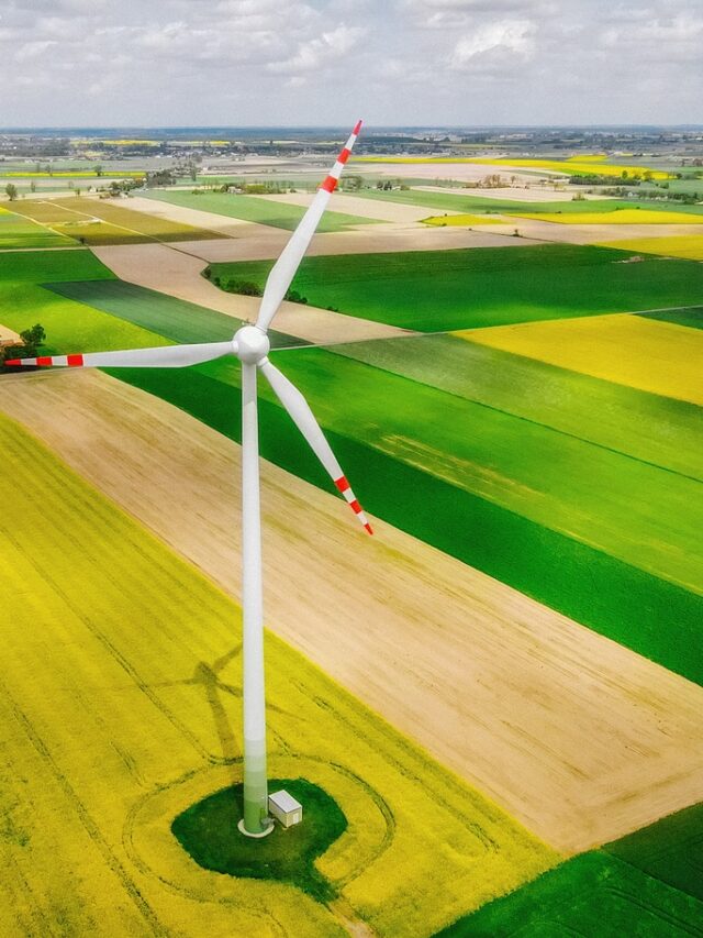 windmill, field, landscape-6307058.jpg